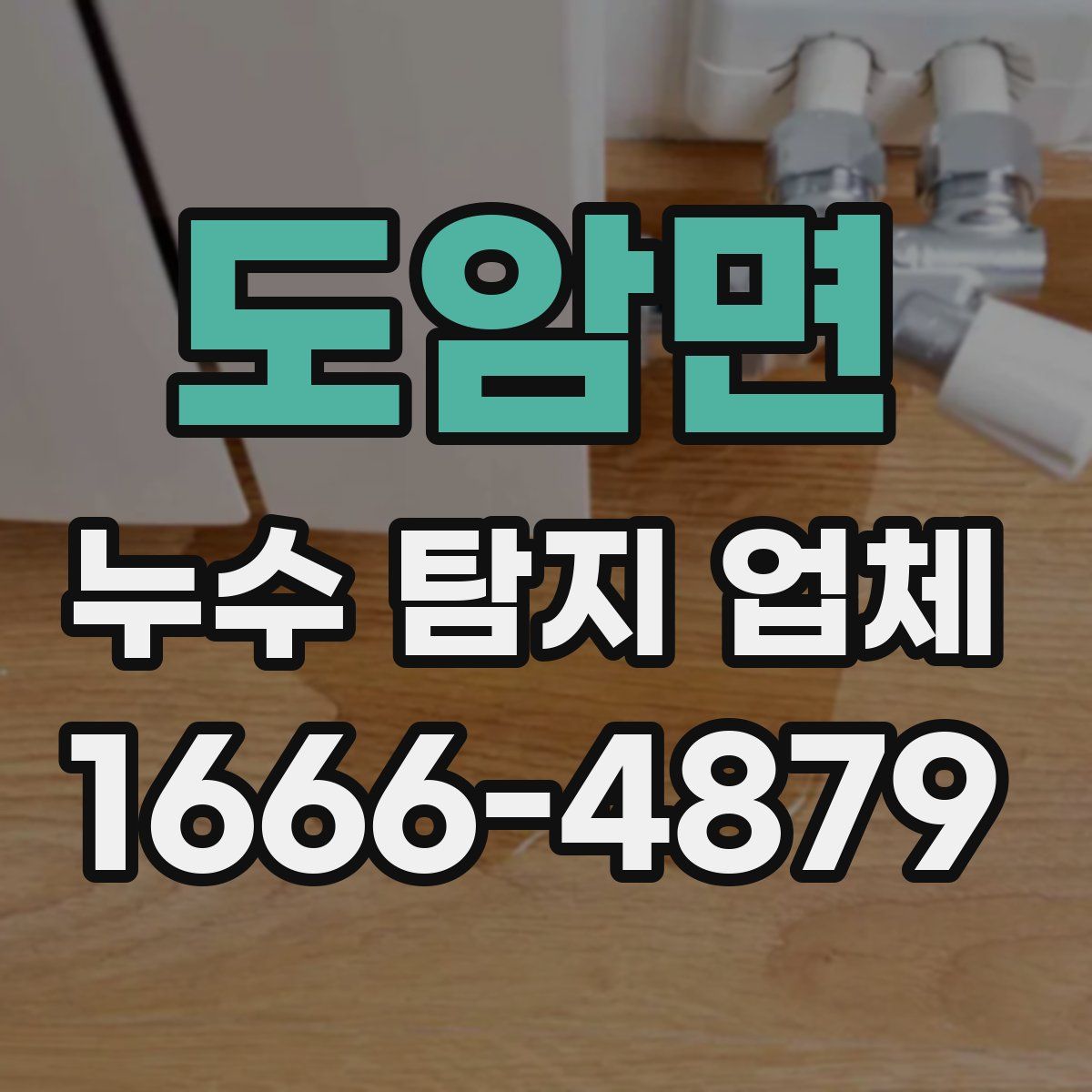 도암면 누수 탐지 업체