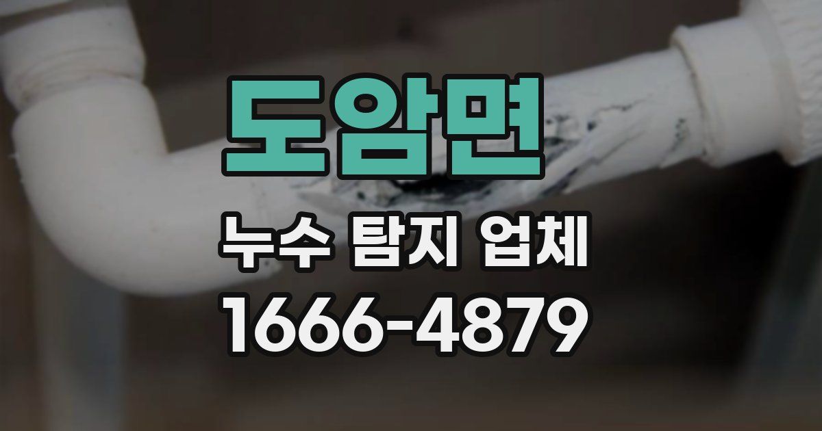 도암면 누수 탐지 업체