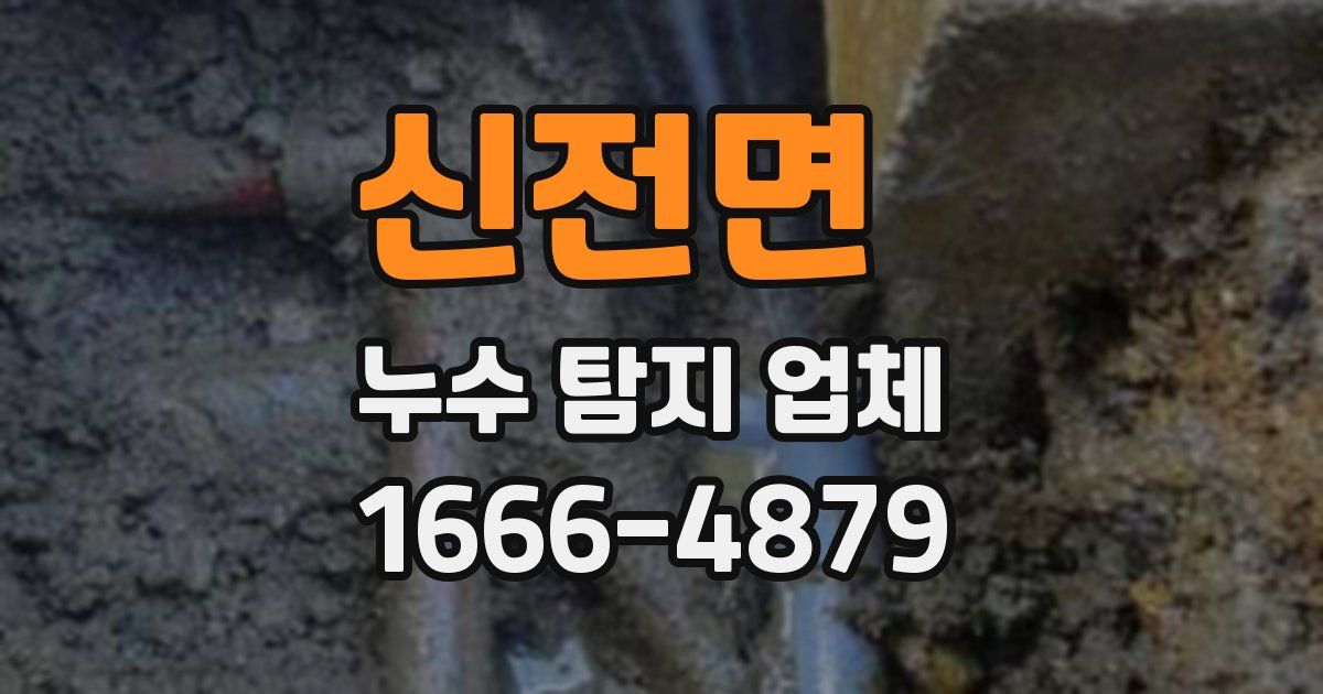신전면 누수 탐지 업체
