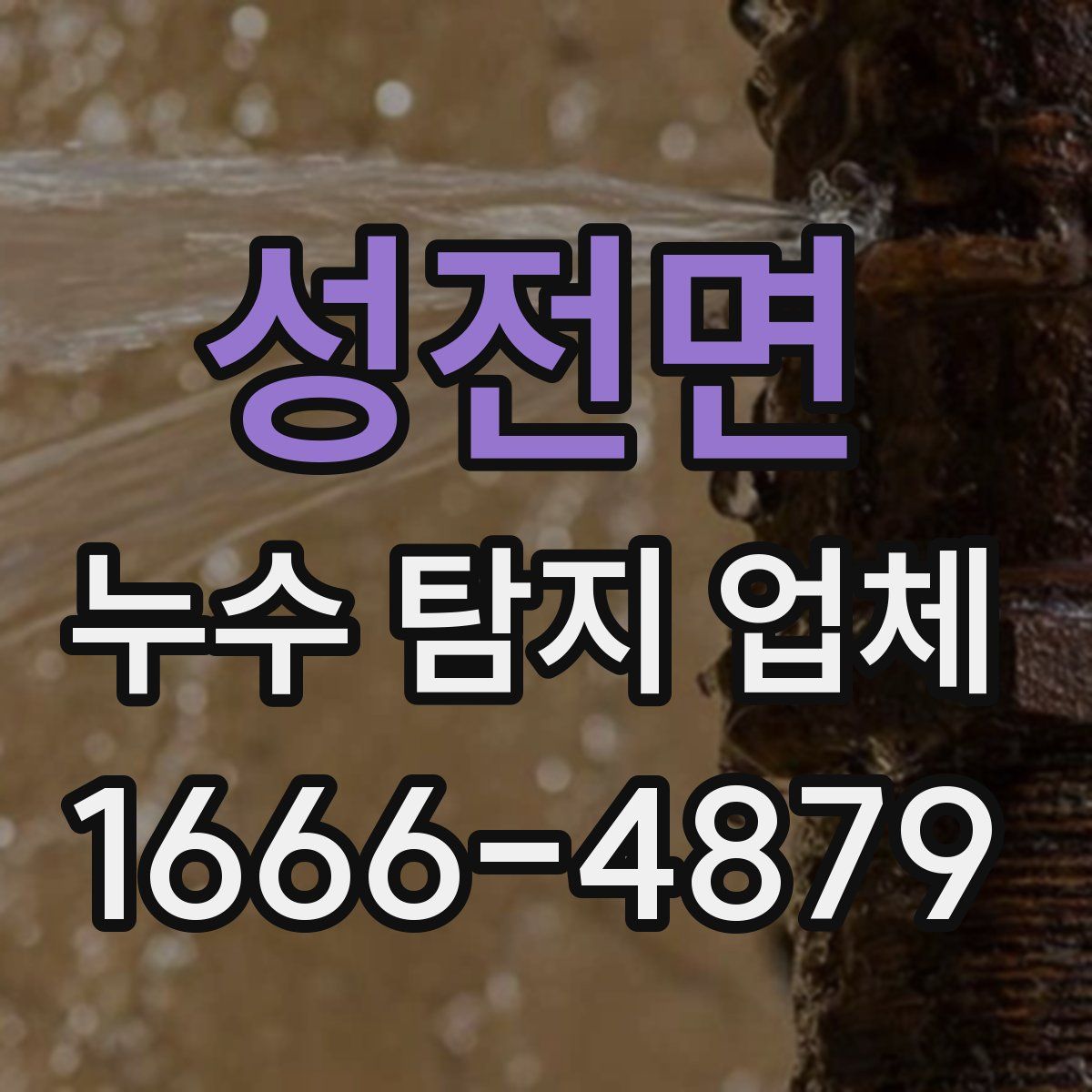 성전면 누수 탐지 업체