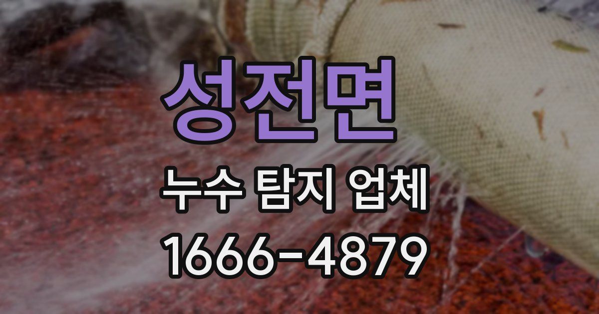 성전면 누수 탐지 업체