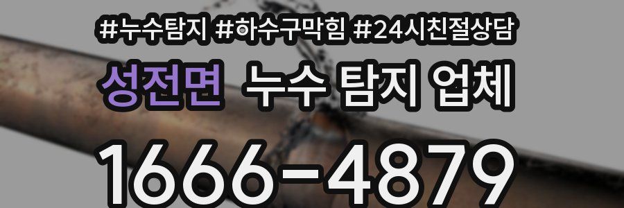 성전면 누수 탐지 업체