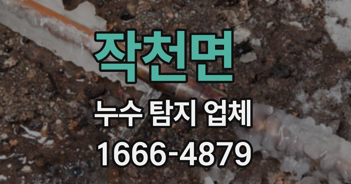 작천면 누수 탐지 업체