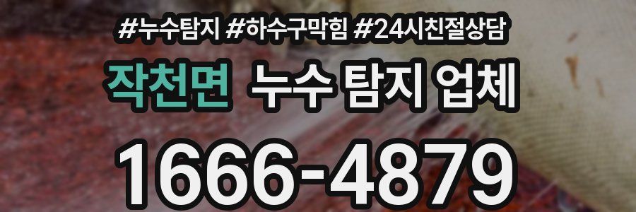 작천면 누수 탐지 업체