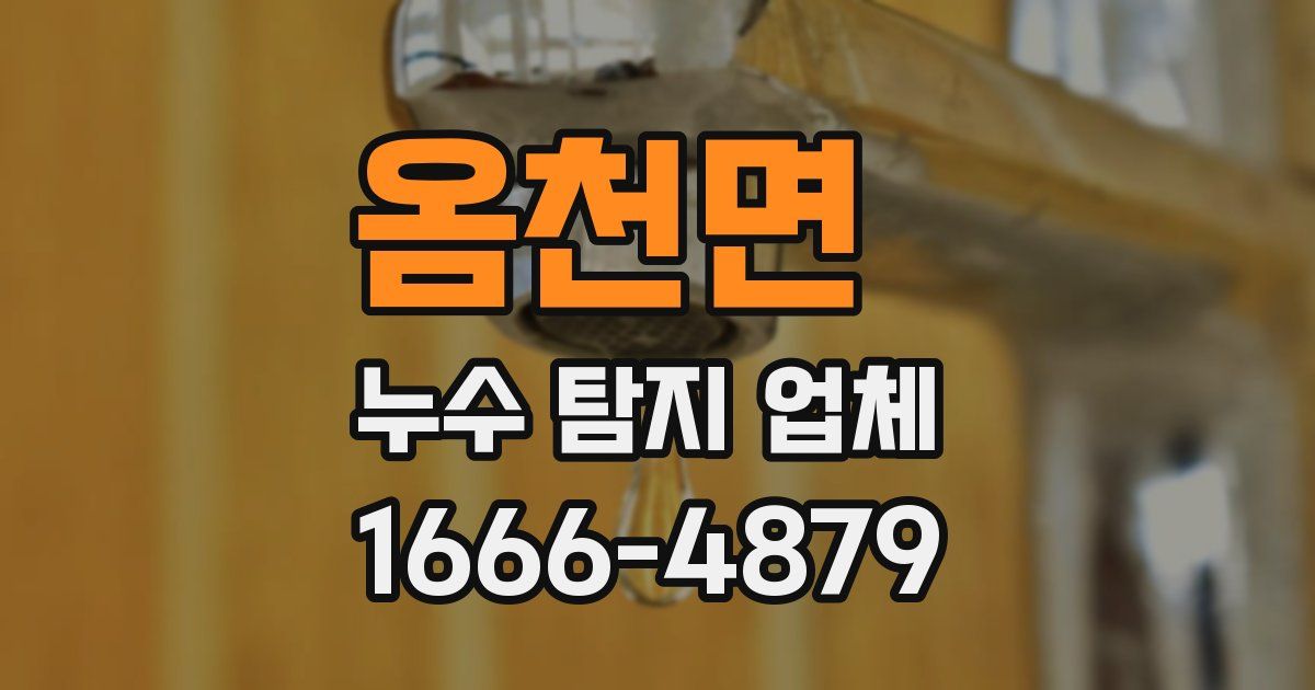 옴천면 누수 탐지 업체