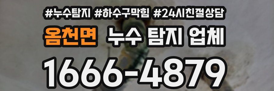 옴천면 누수 탐지 업체
