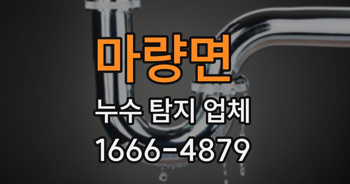 마량면 누수 탐지 업체