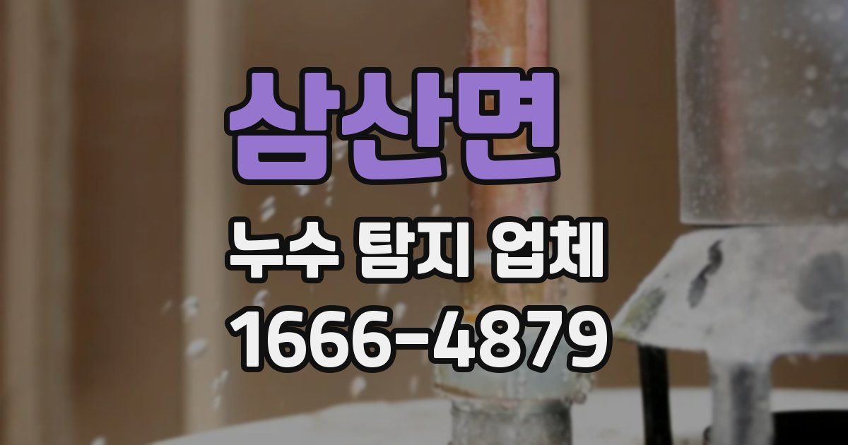 삼산면 누수 탐지 업체