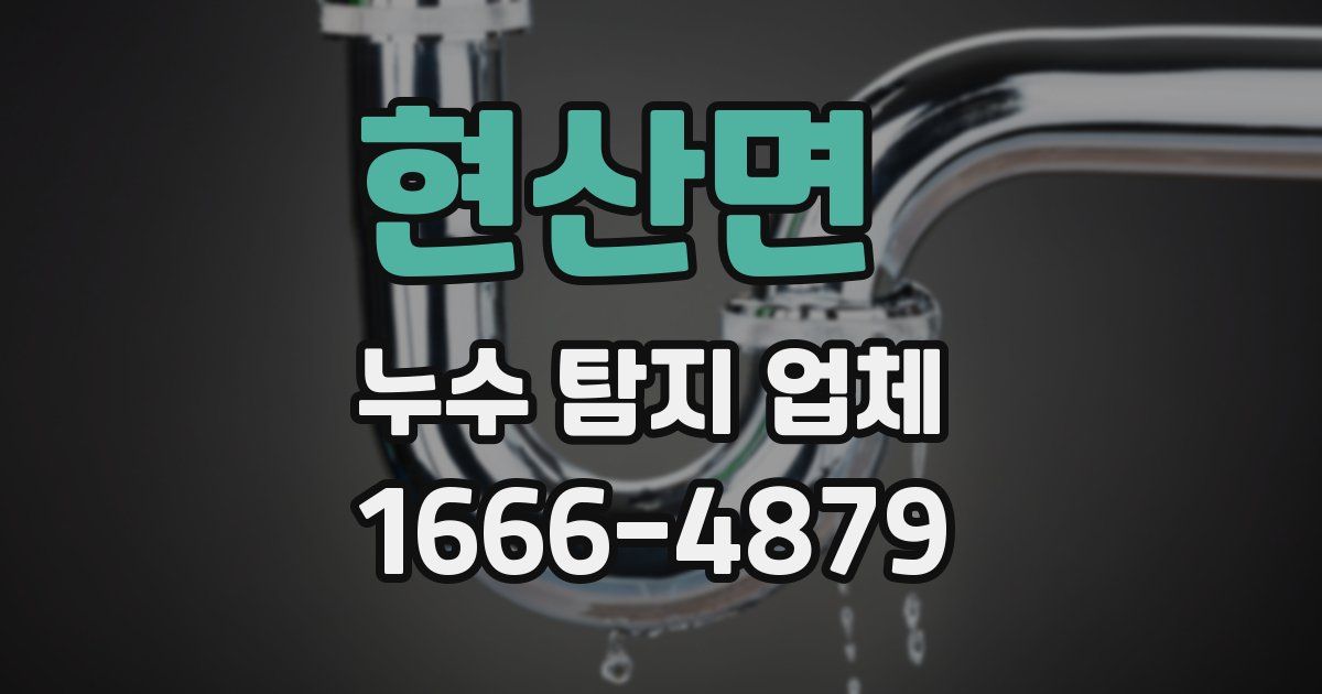현산면 누수 탐지 업체