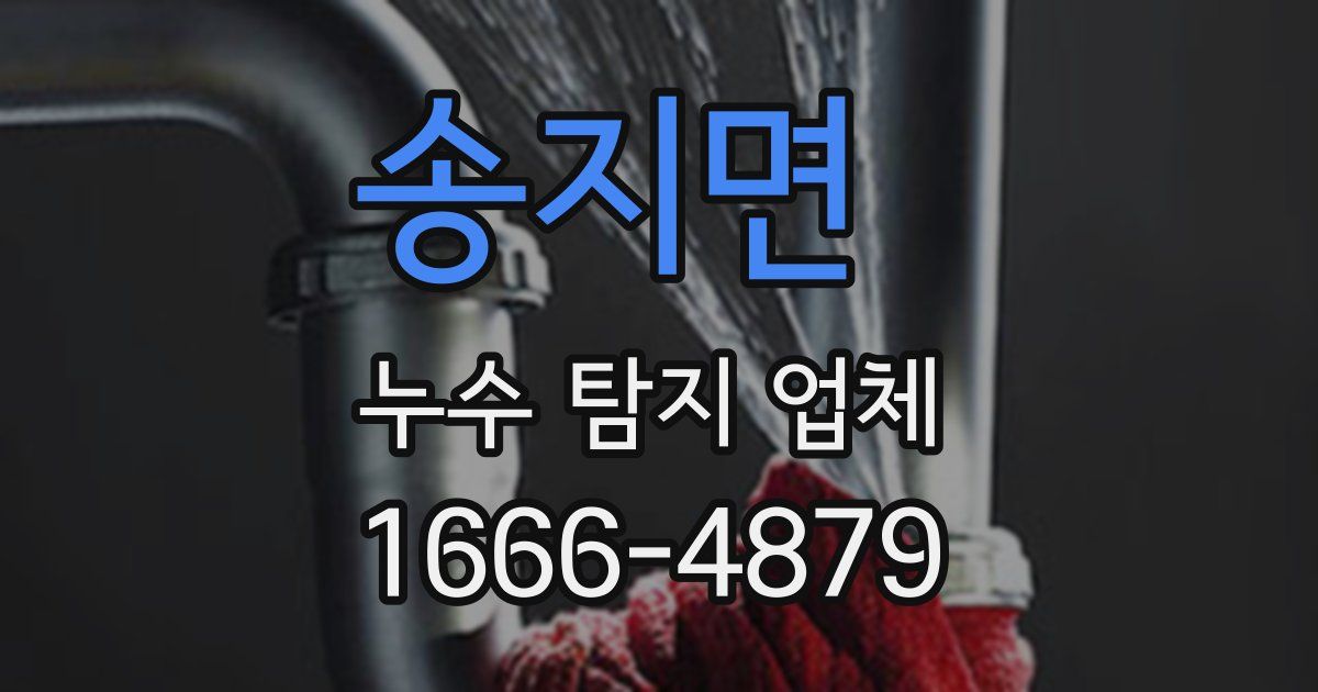 송지면 누수 탐지 업체