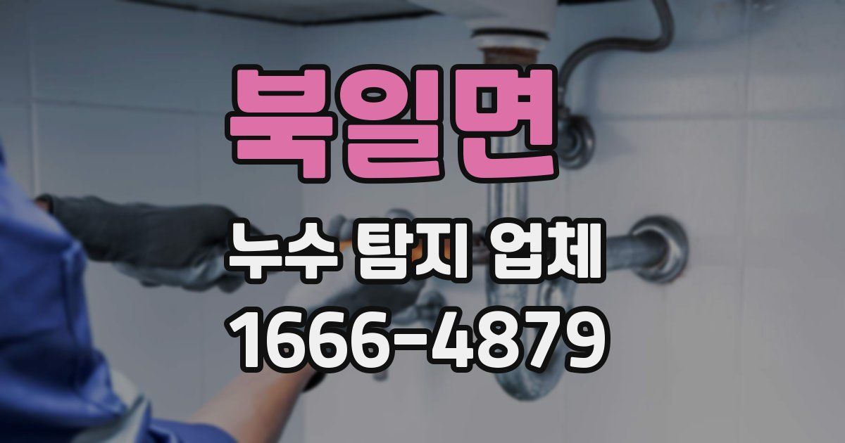 북일면 누수 탐지 업체