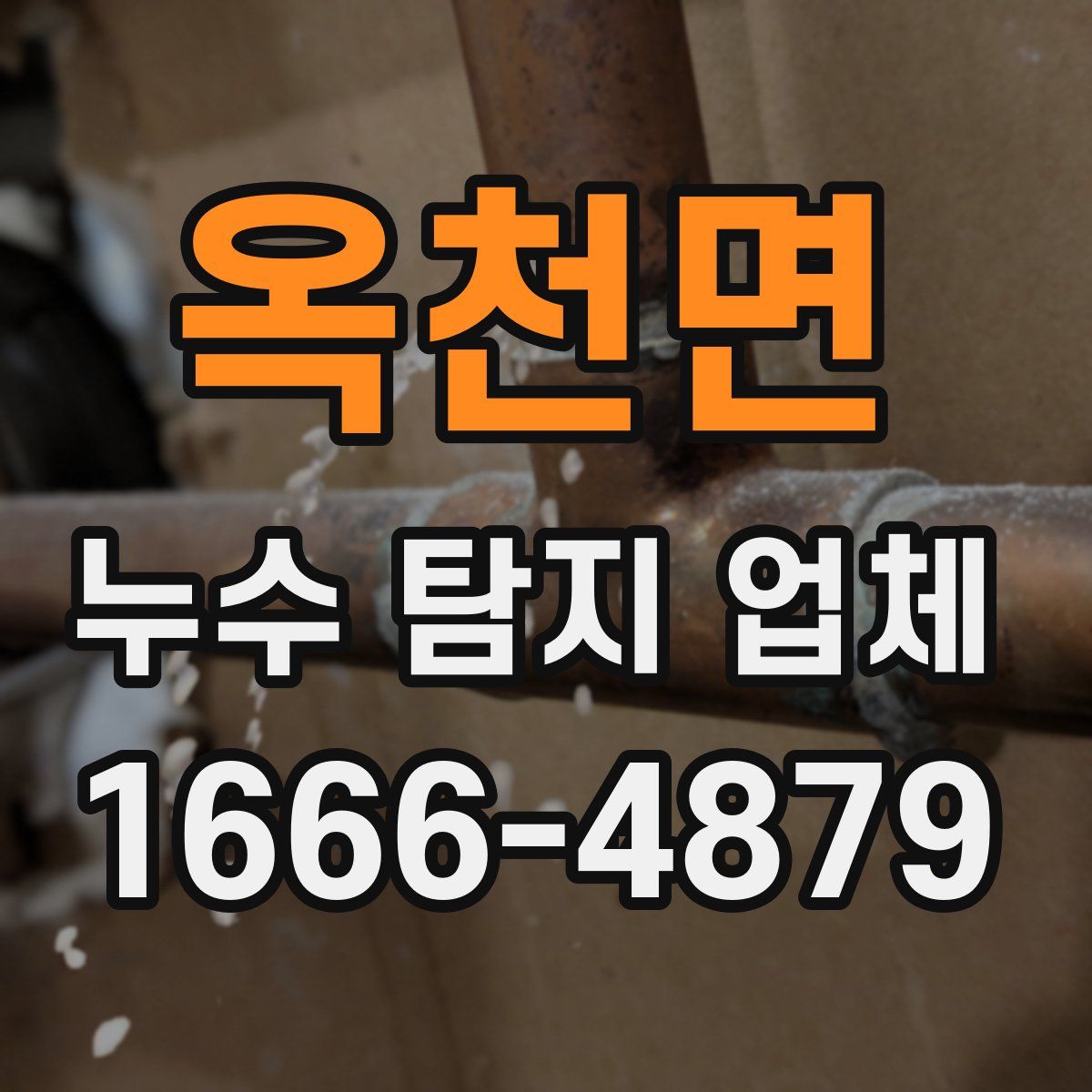 옥천면 누수 탐지 업체