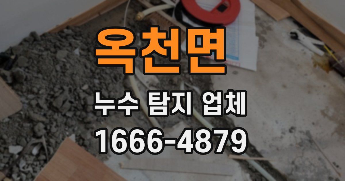 옥천면 누수 탐지 업체