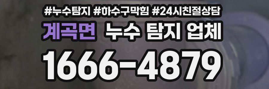 계곡면 누수 탐지 업체