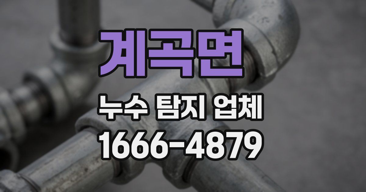 계곡면 누수 탐지 업체