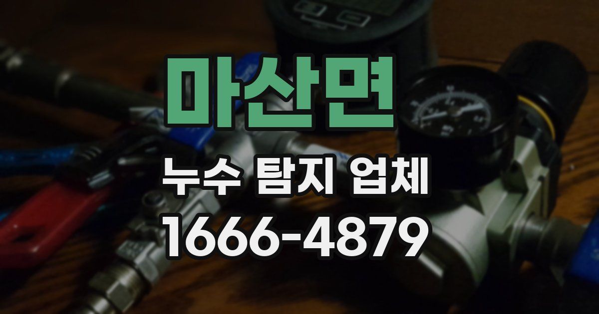 마산면 누수 탐지 업체