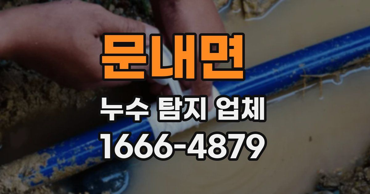 문내면 누수 탐지 업체