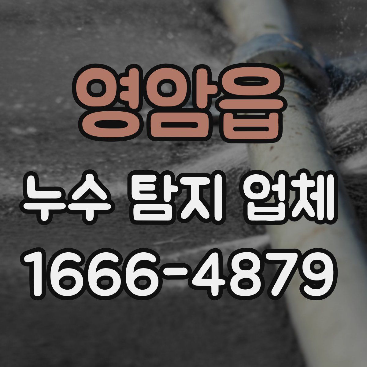 영암읍 누수 탐지 업체