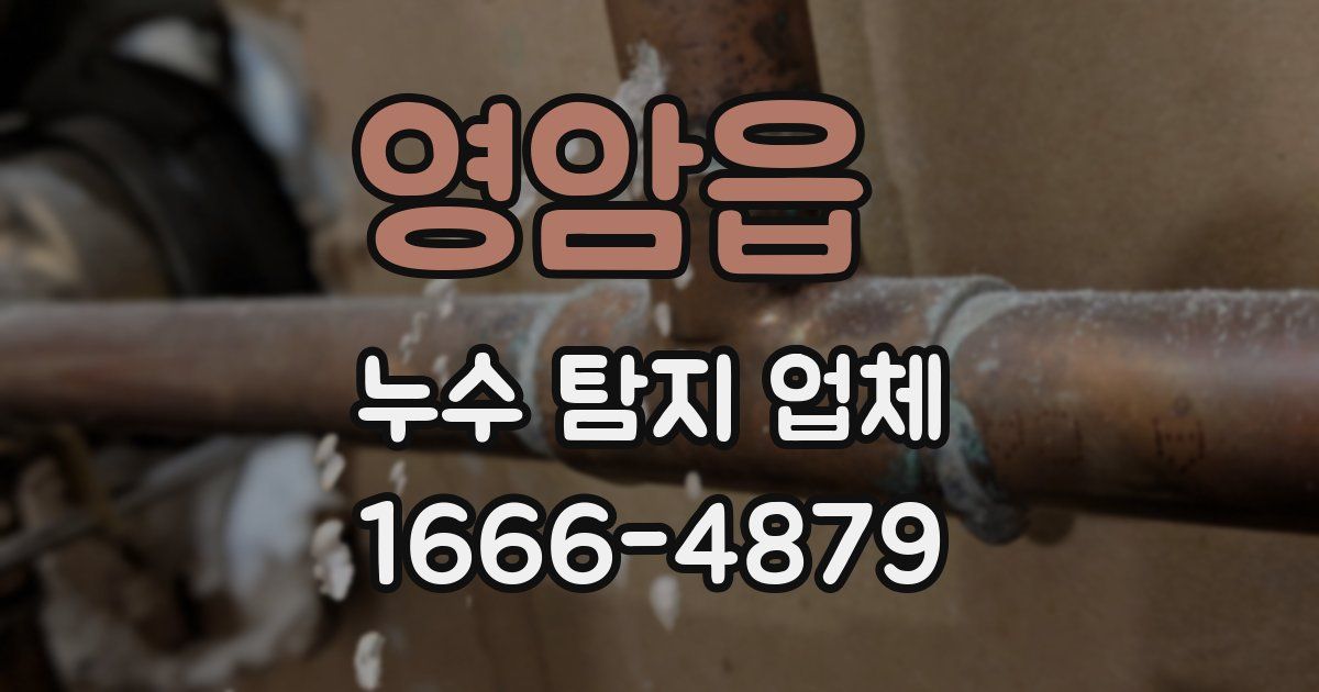 영암읍 누수 탐지 업체