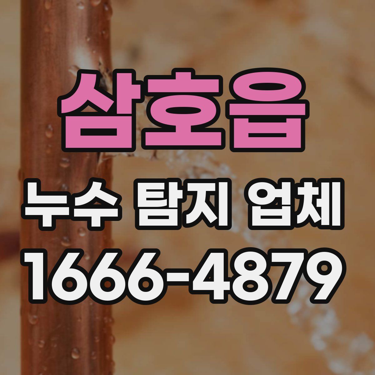 삼호읍 누수 탐지 업체
