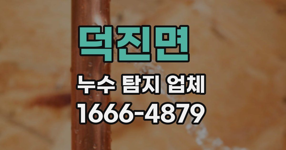 덕진면 누수 탐지 업체