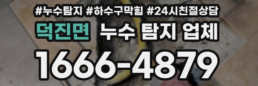 덕진면 누수 탐지 업체