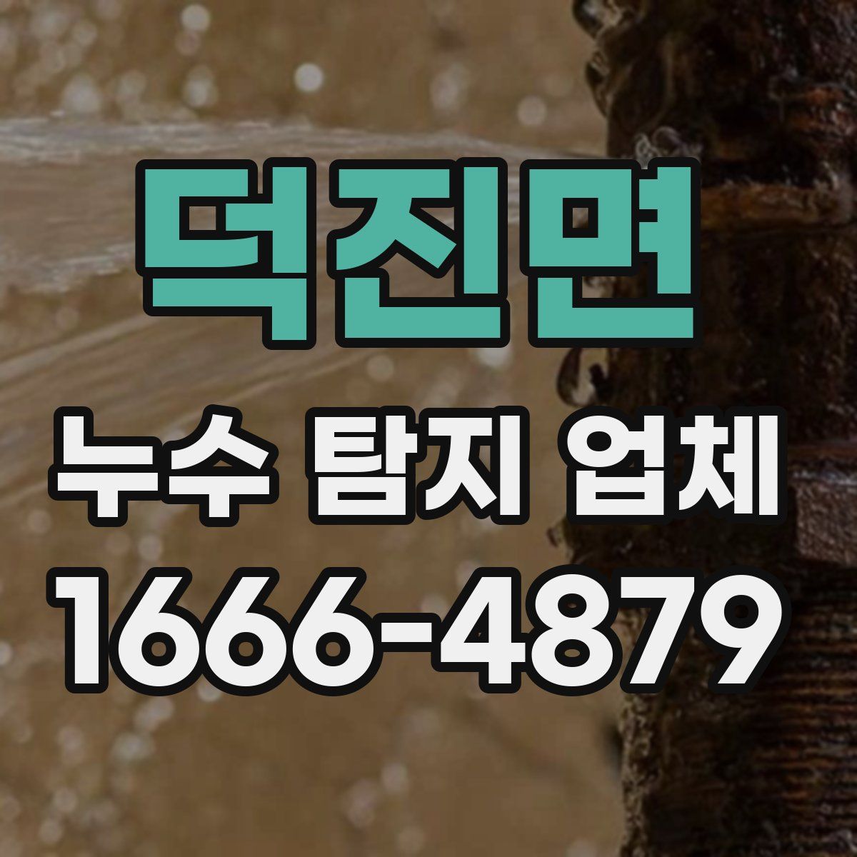 덕진면 누수 탐지 업체
