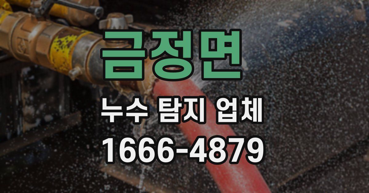 금정면 누수 탐지 업체