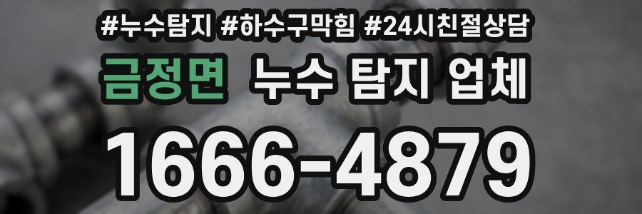 금정면 누수 탐지 업체