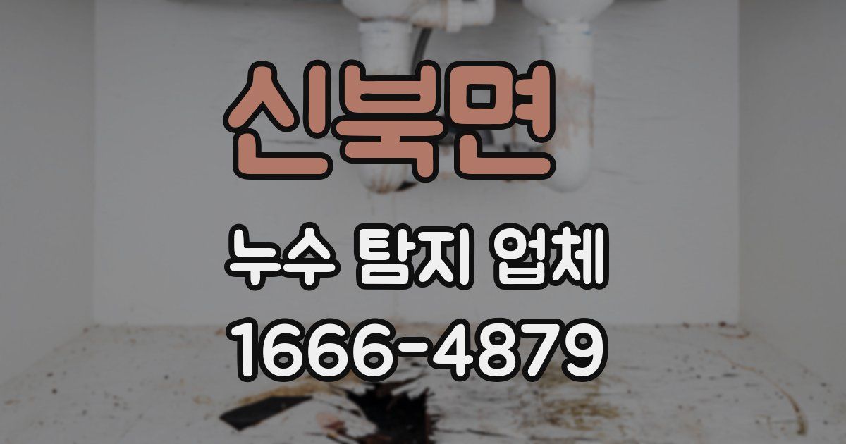 신북면 누수 탐지 업체