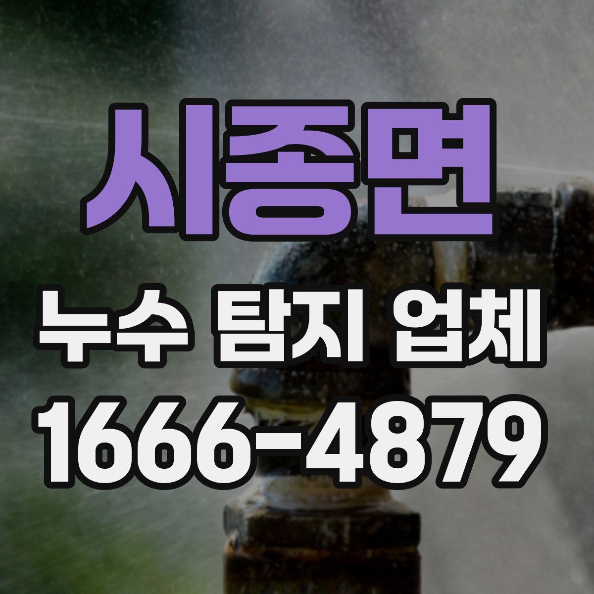 시종면 누수 탐지 업체