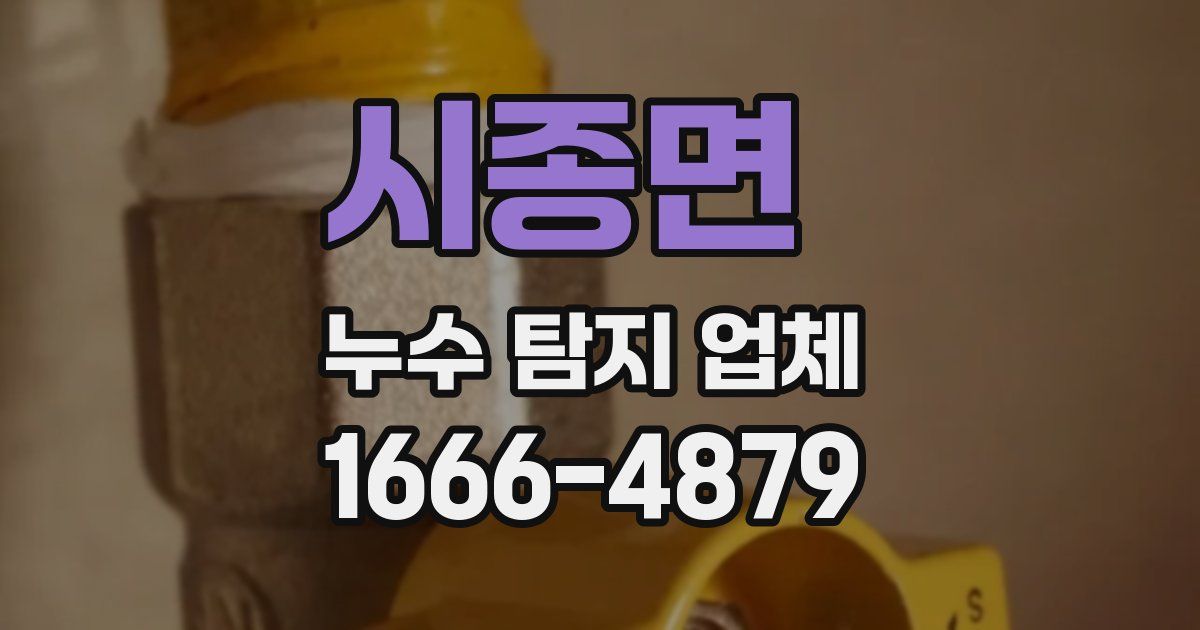 시종면 누수 탐지 업체