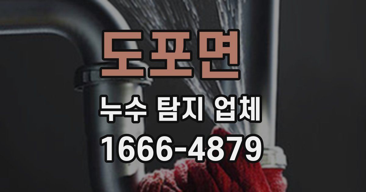 도포면 누수 탐지 업체