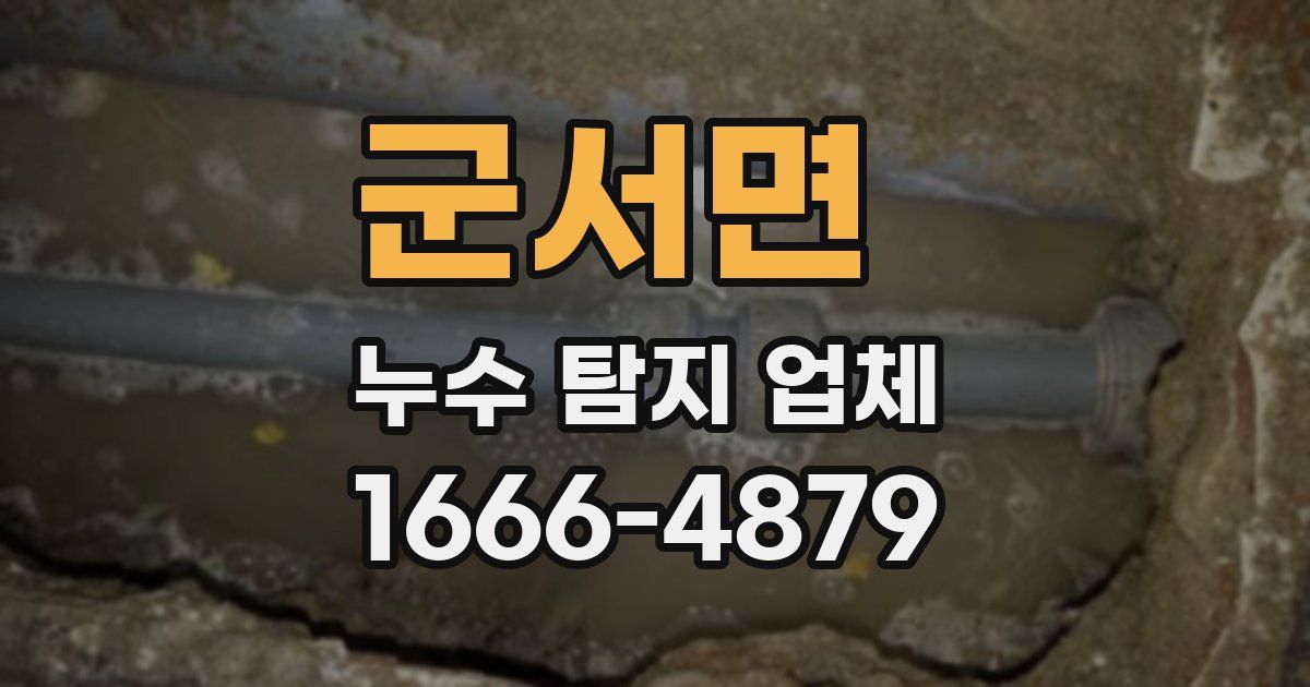 군서면 누수 탐지 업체
