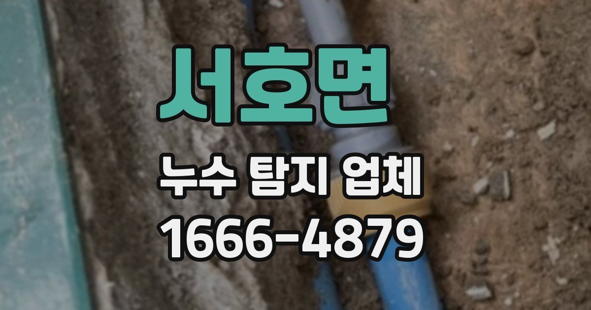 서호면 누수 탐지 업체