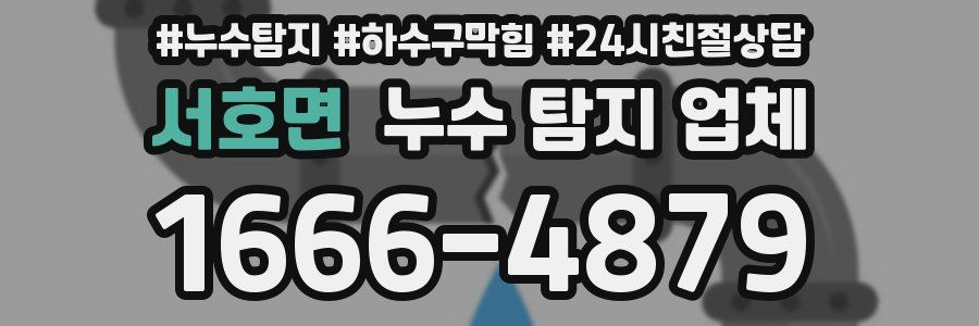 서호면 누수 탐지 업체