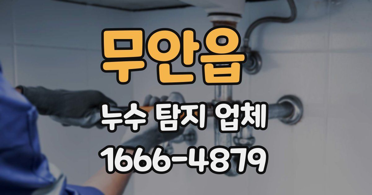 무안읍 누수 탐지 업체