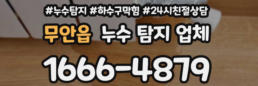 무안읍 누수 탐지 업체