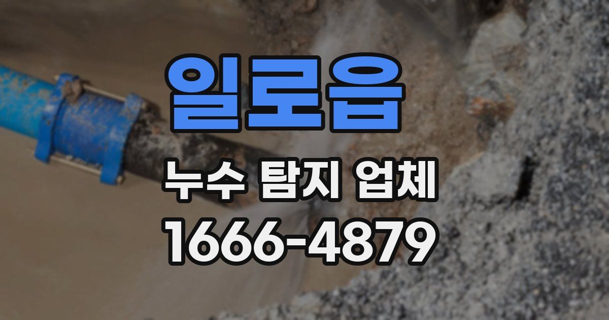 일로읍 누수 탐지 업체