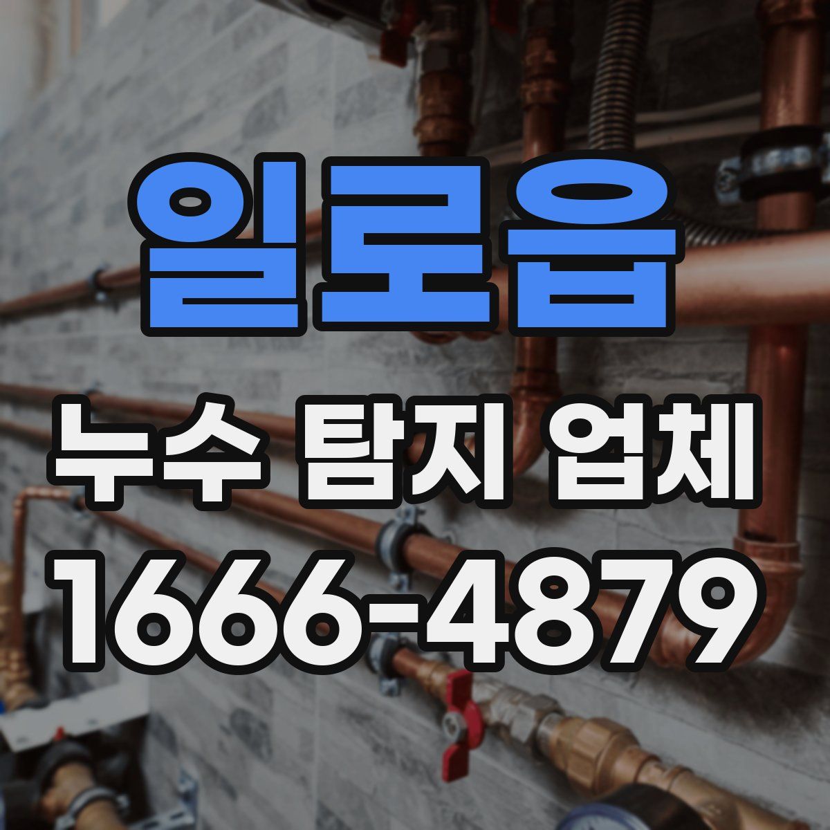 일로읍 누수 탐지 업체