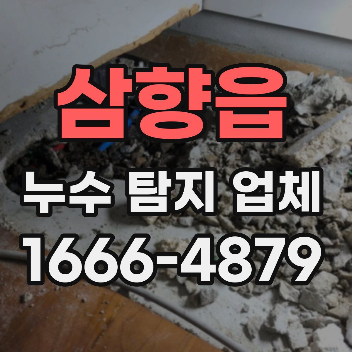삼향읍 누수 탐지 업체
