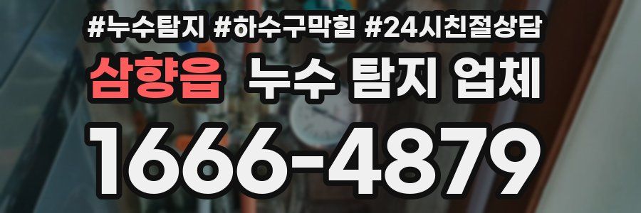 삼향읍 누수 탐지 업체