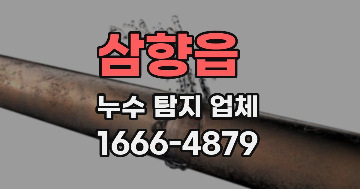 삼향읍 누수 탐지 업체