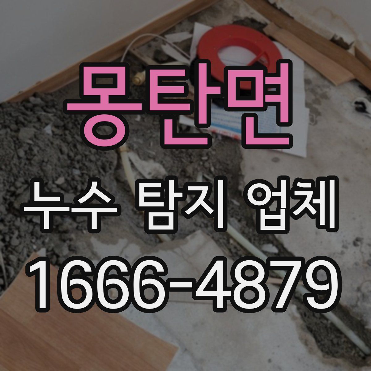 몽탄면 누수 탐지 업체
