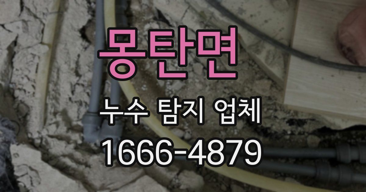 몽탄면 누수 탐지 업체