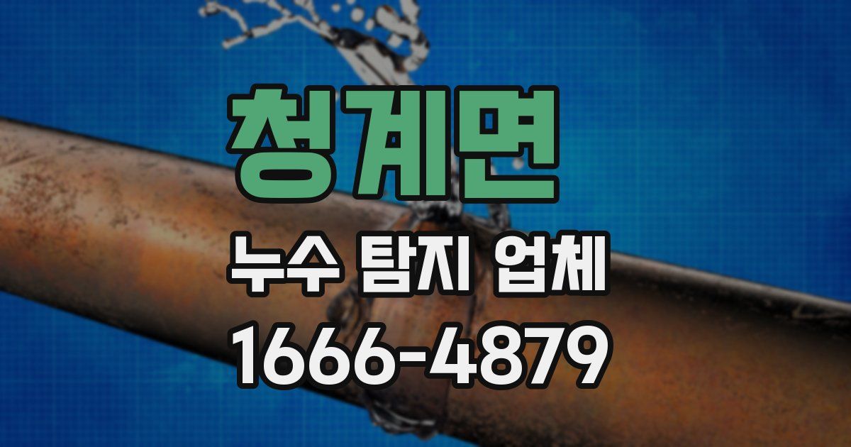 청계면 누수 탐지 업체