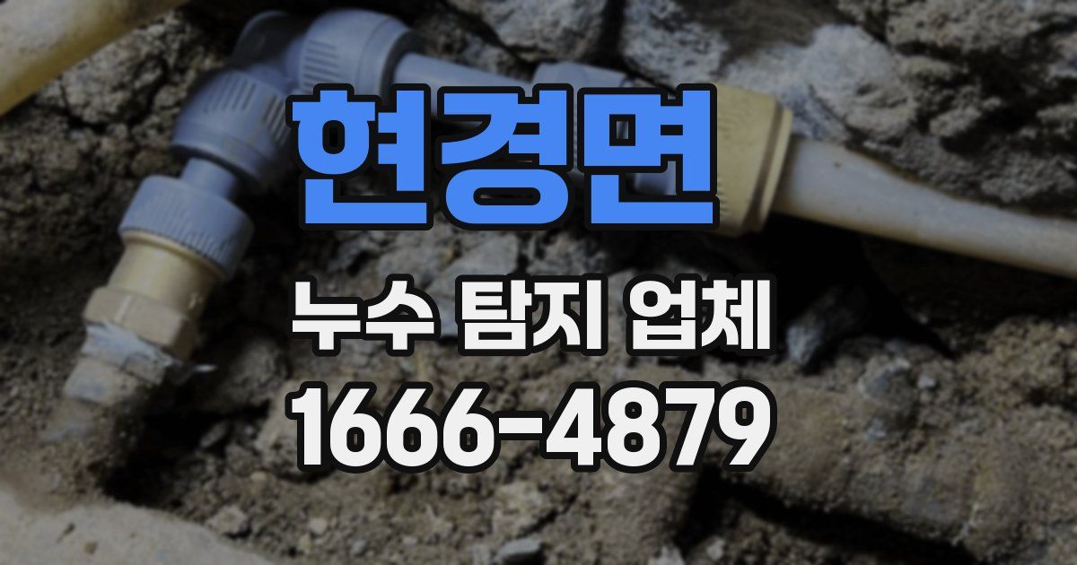 현경면 누수 탐지 업체