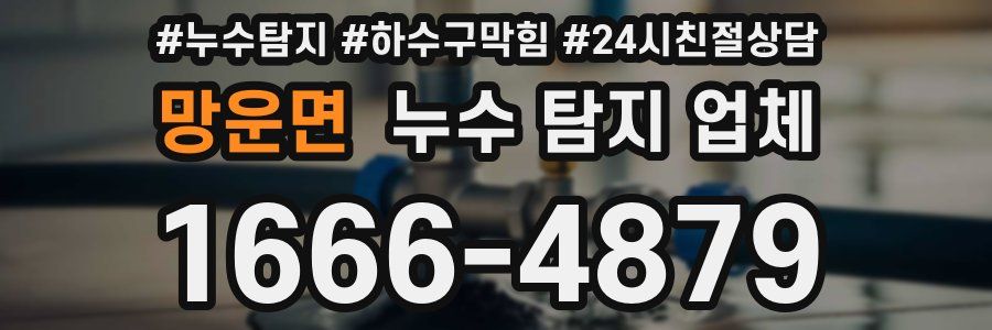 망운면 누수 탐지 업체