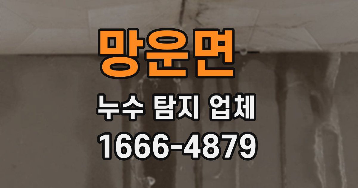 망운면 누수 탐지 업체