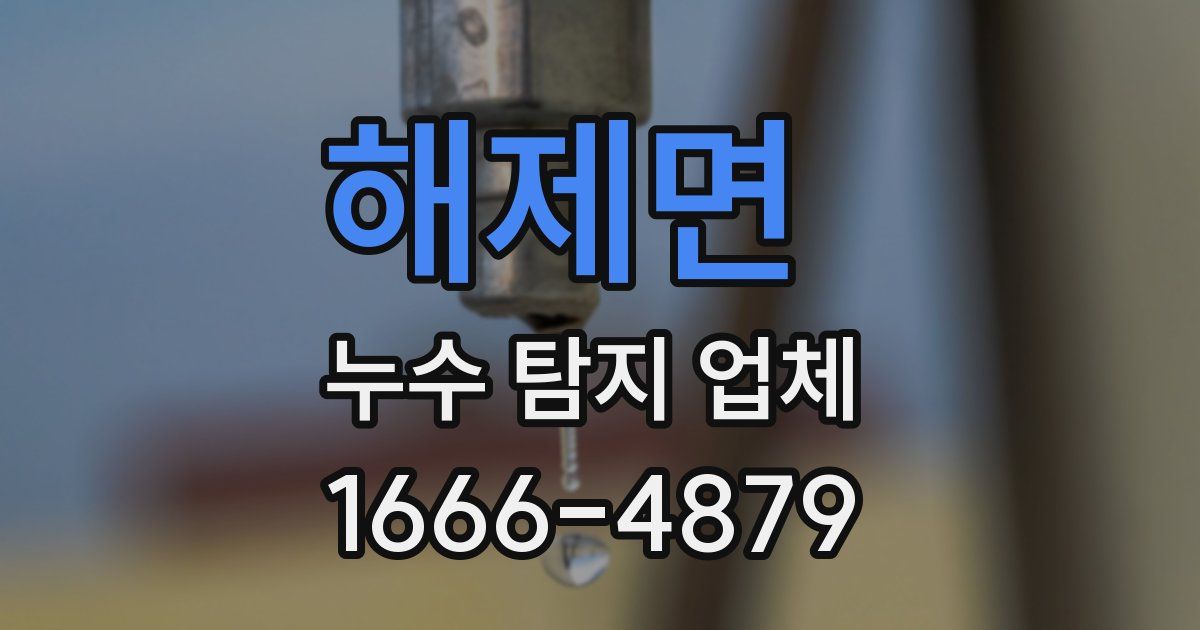 해제면 누수 탐지 업체